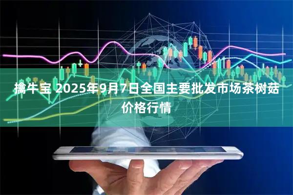 擒牛宝 2025年9月7日全国主要批发市场茶树菇价格行情