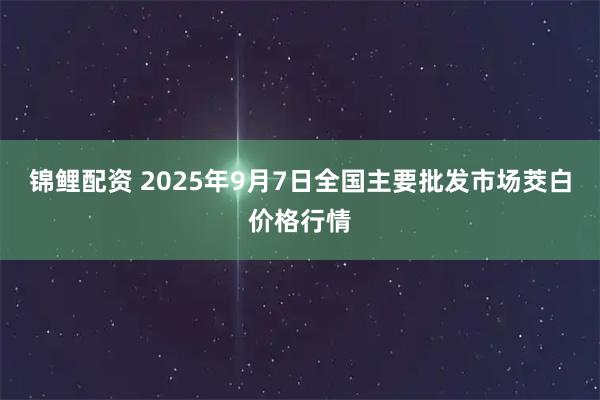 锦鲤配资 2025年9月7日全国主要批发市场茭白价格行情
