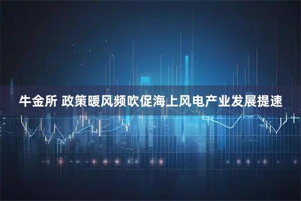 牛金所 政策暖风频吹促海上风电产业发展提速