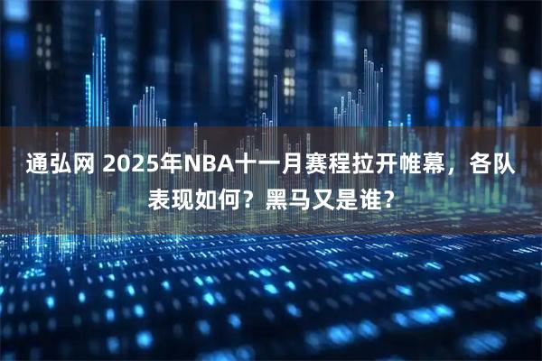 通弘网 2025年NBA十一月赛程拉开帷幕，各队表现如何？黑马又是谁？