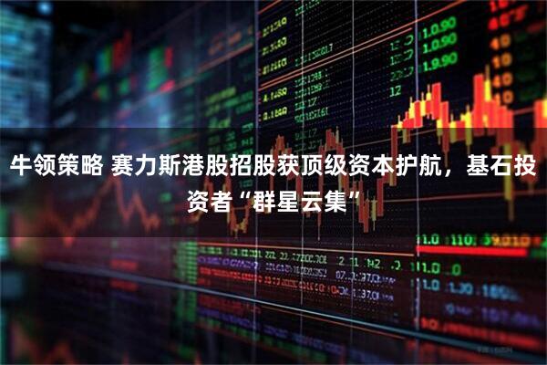 牛领策略 赛力斯港股招股获顶级资本护航，基石投资者“群星云集”