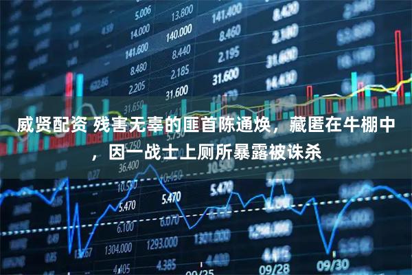 威贤配资 残害无辜的匪首陈通焕，藏匿在牛棚中，因一战士上厕所暴露被诛杀